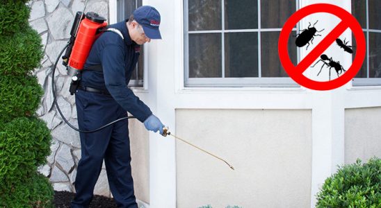Bademler Dezenfeksiyon böcek ilaçlama ve haşere kontrolü — ilaclama-tr.com